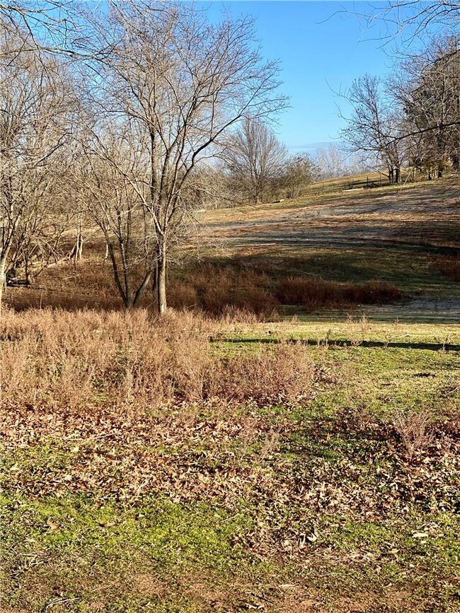 16256 Logan Rd, Siloam Springs, AR 72761 - photo 3