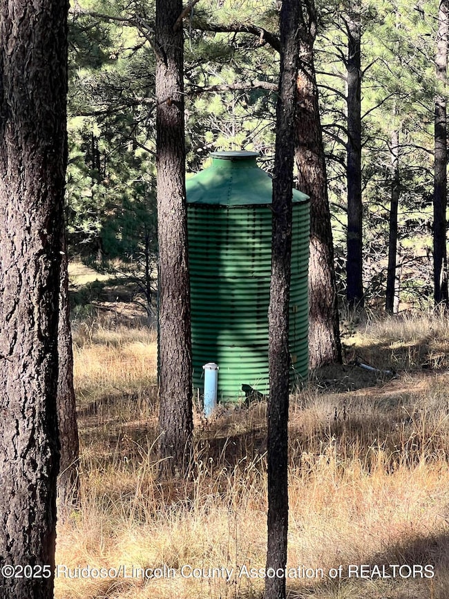 121 Stag Loop, Alto, NM 88312 - photo 6