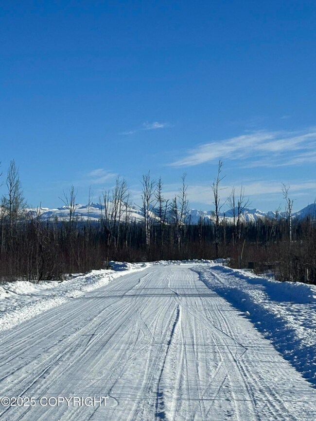 15408 Wild Bill Way, Susitna North, AK 99688 - photo 6