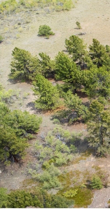 Parcel 31663 Redhill Rd, Fairplay, CO 80440 - photo 7