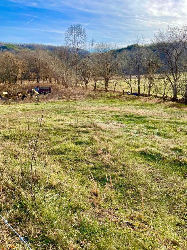 231 Highway 1003, Somerset, KY 42501 - photo 2