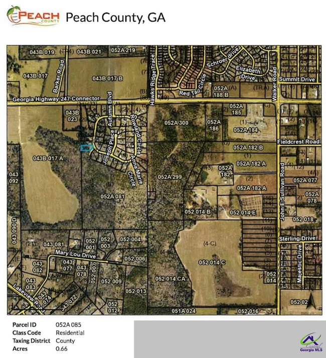 53.91 Acres Anna Marie Circle (Autumn Cove Subdivision), Byron, GA 31008 - photo 3