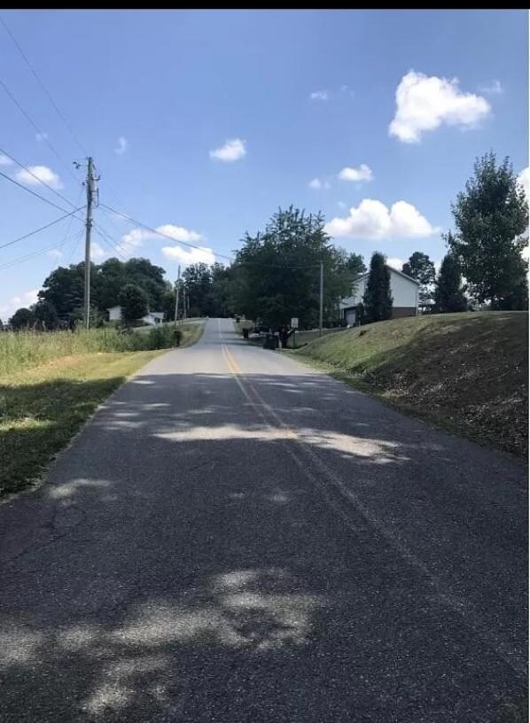 102 Kincheloe Rd Rd, Fall Branch, TN 37656 - photo 3