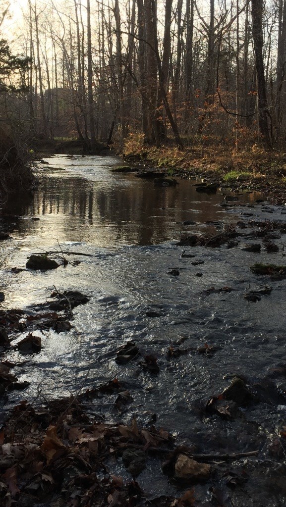 7.87 AC Paran Rd, Cookeville, TN 38506 - photo 6