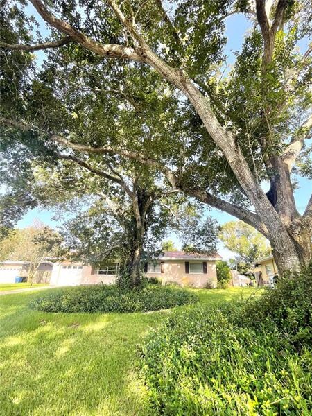 Enjoy the shade of your gorgeous old oak tree.