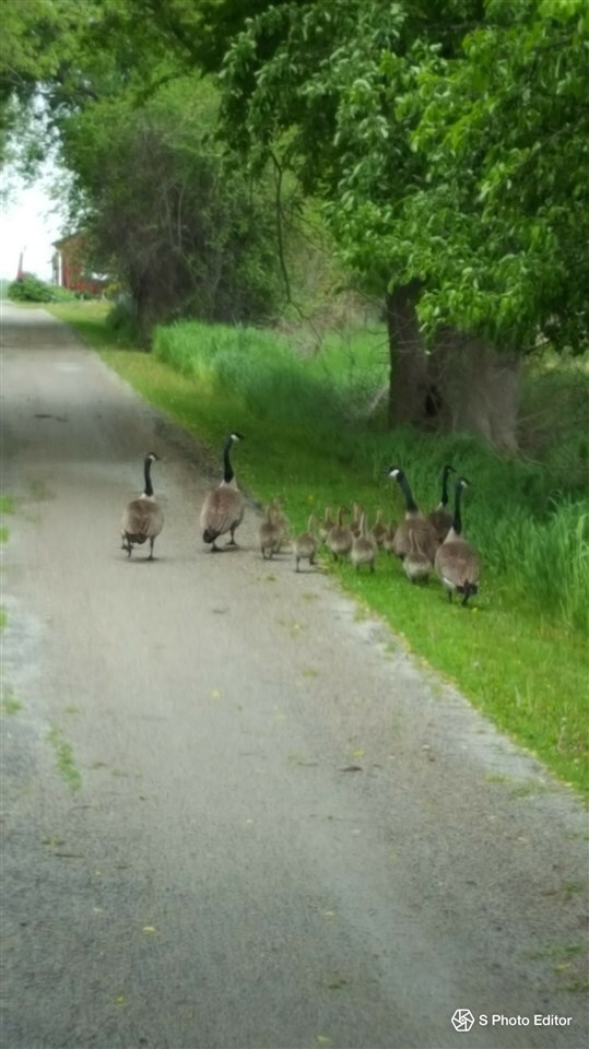 9.69 AC Hilbert Rd, Chester, WI 53922 - photo 2