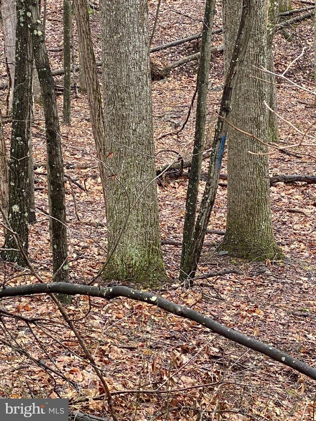 0 Hank Ln unit WVMO118258, Berkeley Springs, WV 25411 - photo 5