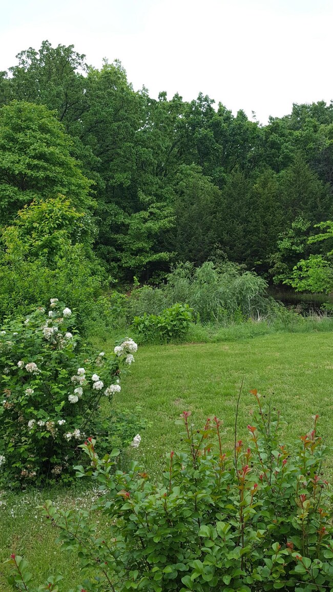 20190510_100224