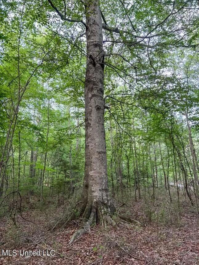 00 Ashley Rd, Brandon, MS 39042 - photo 3