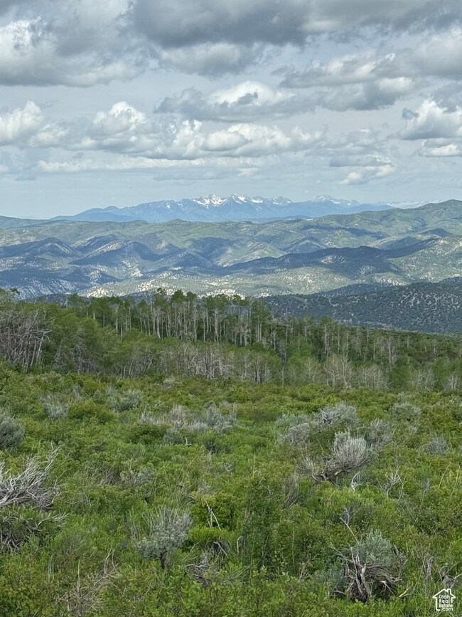 0 E Alta Dr unit D58, Spanish Fork, UT 84526 - photo 3