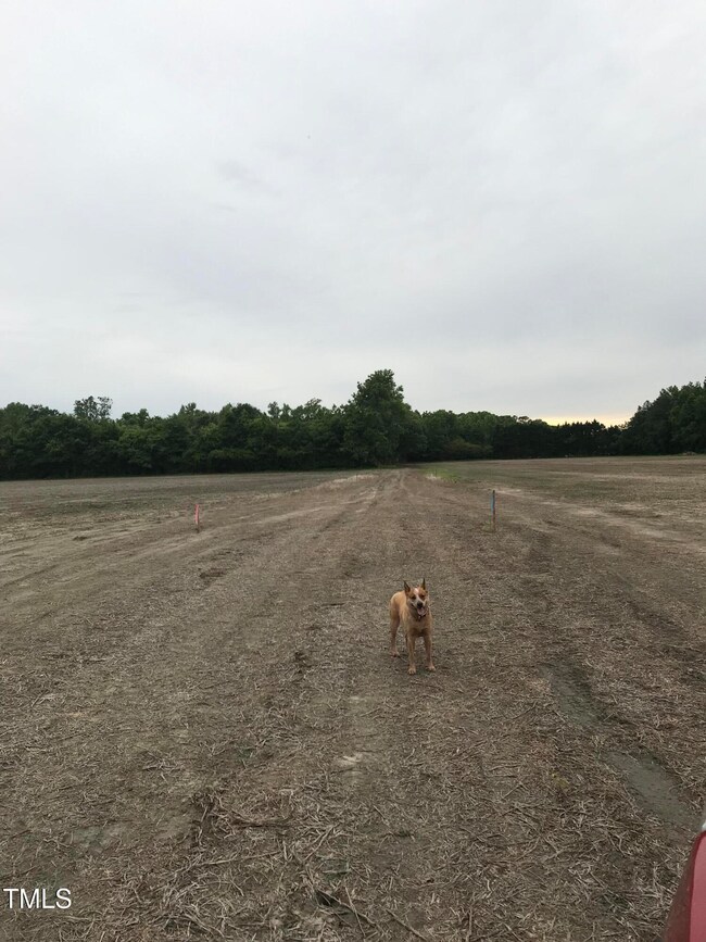 20’ deeded easement to NC 33