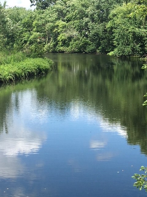 31 Devereux St unit 307, Providence, RI 02909 - photo 2