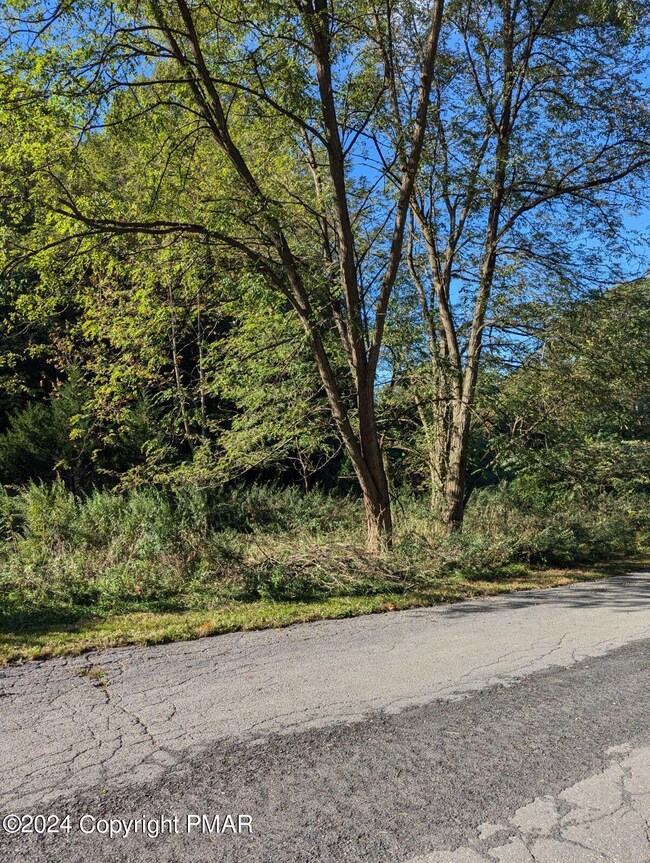 0 Collins St, Stroudsburg, PA 18360 - photo 5