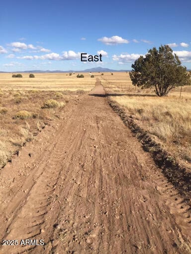 Photo East