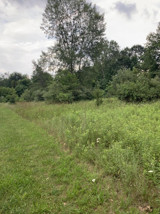 6529 Thornapple River Dr SE, Alto, MI 49302 - photo 4