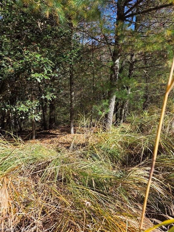 TBD Browntown Rd, Wilbar, NC 28651 - photo 5