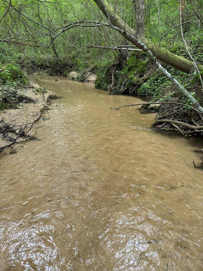 Creek2