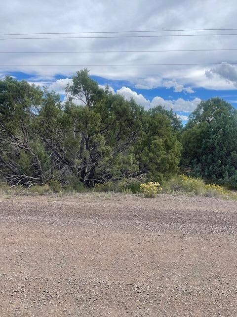 1091 S Old Us Hwy 89, Hatch, UT 84735 - photo 5
