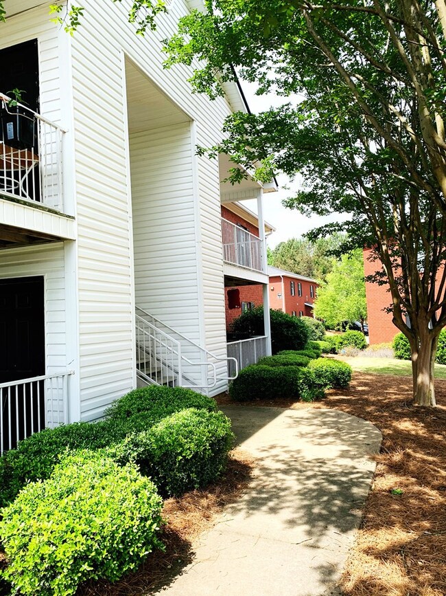 44 Private Road 3057, Oxford, MS 38655 - photo 3