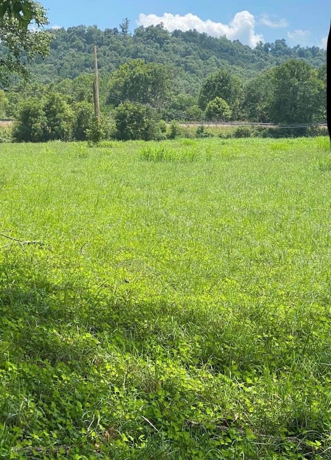 11.24 Hwy 3264, Science Hill, KY 42553 - photo 5