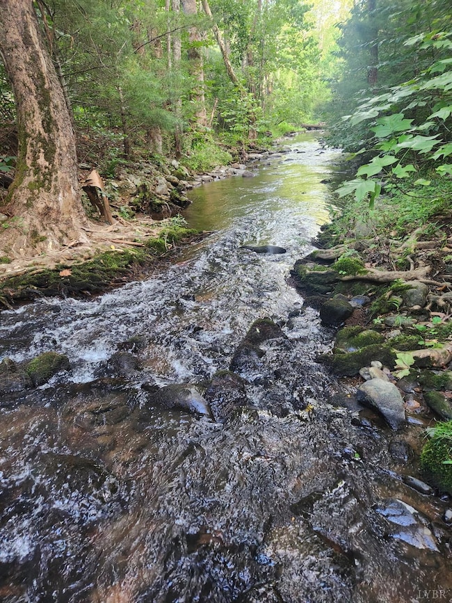 0 Meadors Mill Rd unit 361079, Bedford, VA 24523 - photo 3