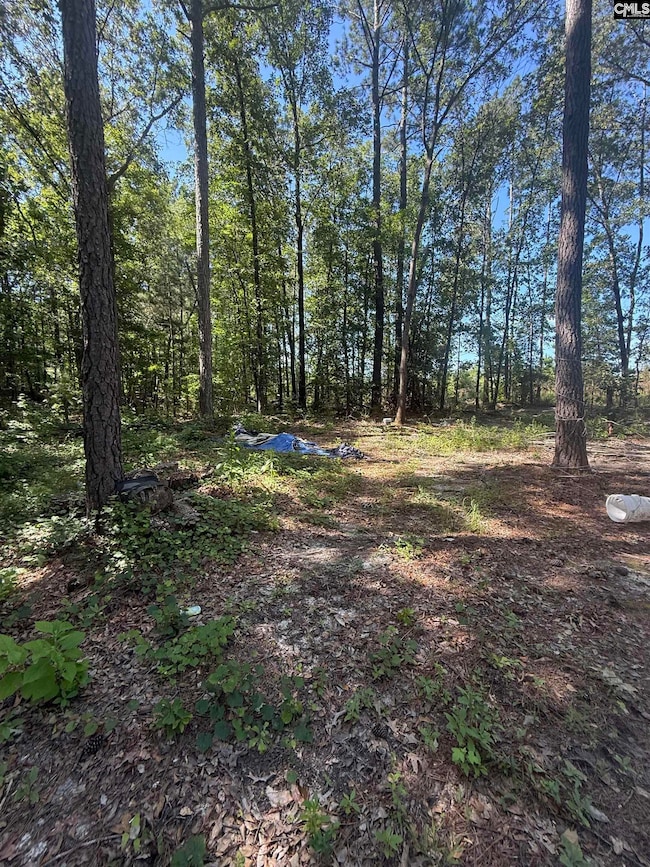 1503 Spears Creek Rd, Lugoff, SC 29078 - photo 4