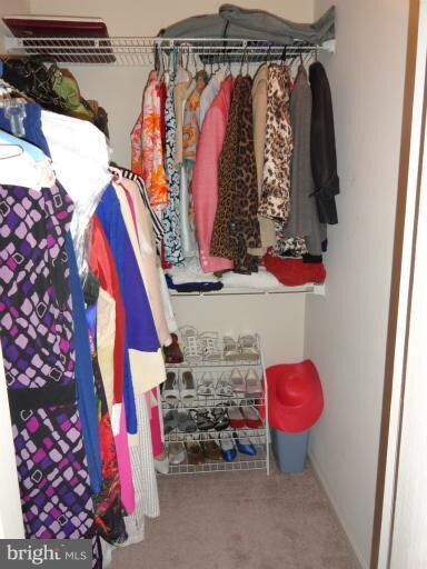 694 Jupiter Hills Ct unit 3 M, Arnold, MD 21012 - photo 4