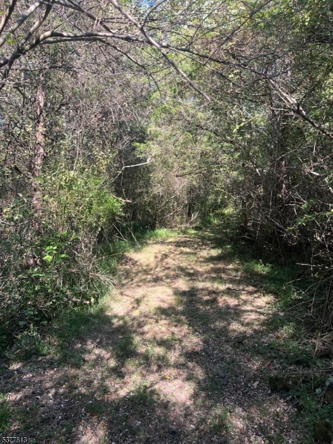 81 Upper Creek Rd, Stockton, NJ 08559 - photo 3