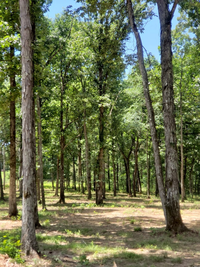 4821 Kedron Rd, Spring Hill, TN 37174 - photo 6