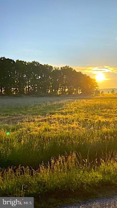 7.7 Vacant Lot Andrewville Rd, Harrington, DE 19952 - photo 2