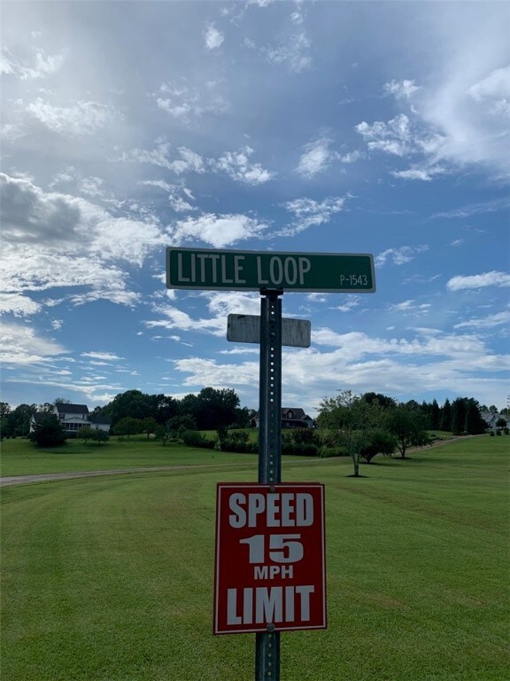 02 Little Loop, Tamassee, SC 29686 - photo 4