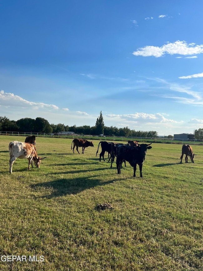 7770 Westside Dr, Canutillo, TX 79835 - photo 6