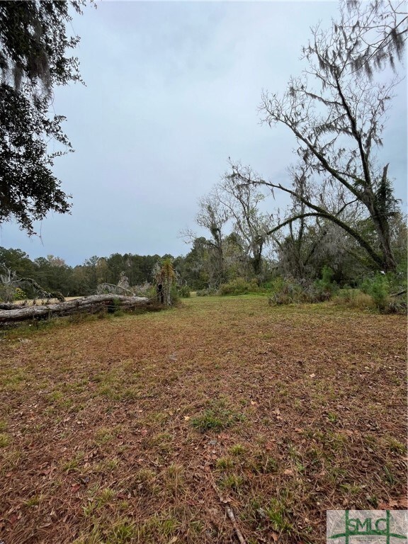 0 Highway 119 S unit 299729, Guyton, GA 31312 - photo 3