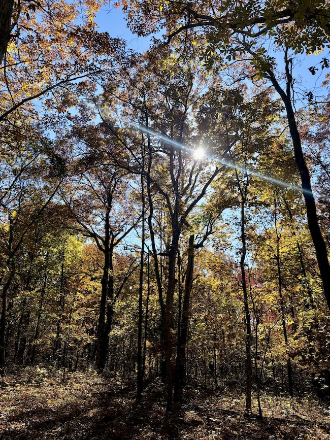 0 Harrison Ferry Rd unit RTC2813087, McMinnville, TN 37110 - photo 5