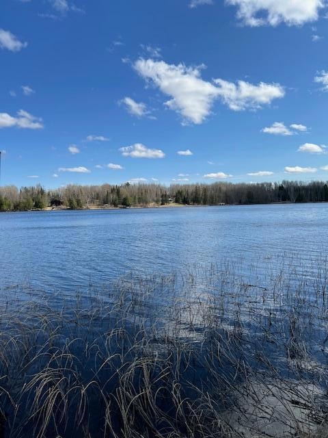 7285 W Leavitt Rd NE, Outing, MN 56662 - photo 7