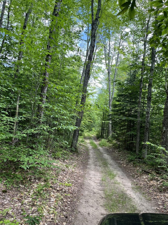 Access Road