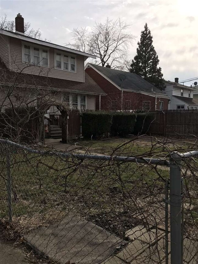 Back yard
