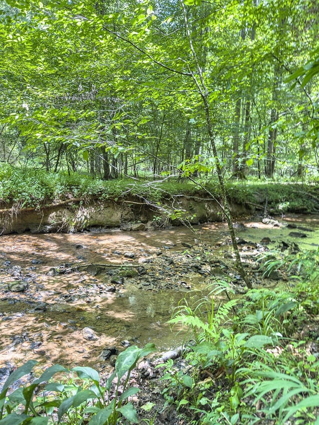 89 Box Turtle Ln, Murphy, NC 28906 - photo 3