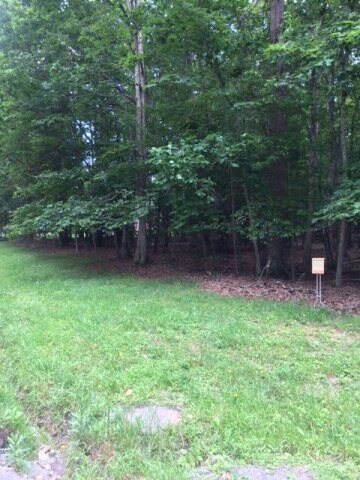 1402 Lake Dr unit 19, Daniels, WV 25832 - photo 3