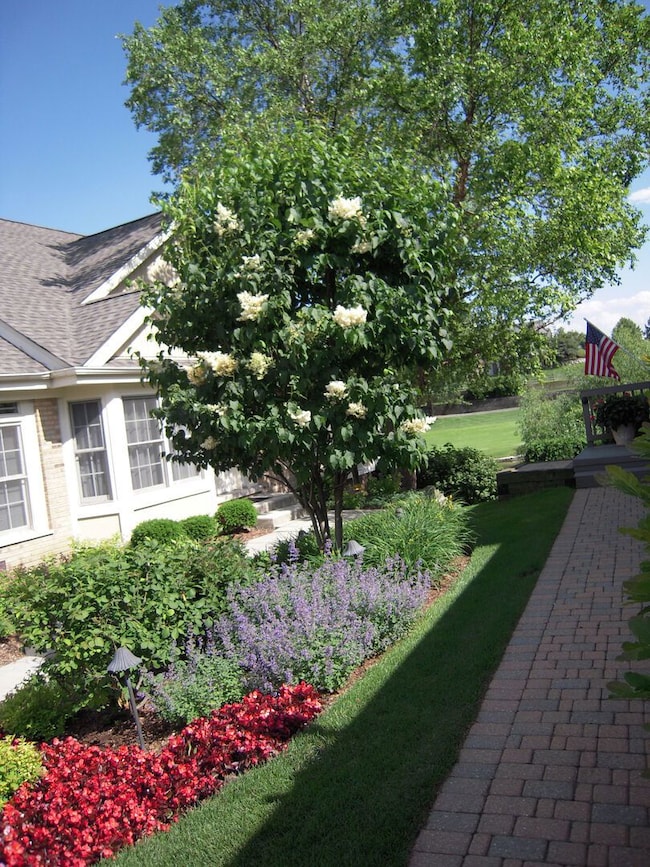 10513 Golf Rd, Orland Park, IL 60462 - photo 4