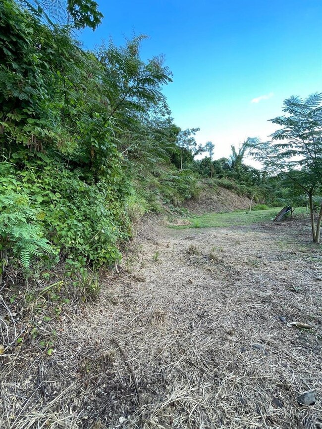 0 unit MFRPR9117727, Anasco, PR 00610 - photo 6