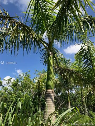 20690 Charles Green Blvd, Loxahatchee, FL 33470 - photo 5