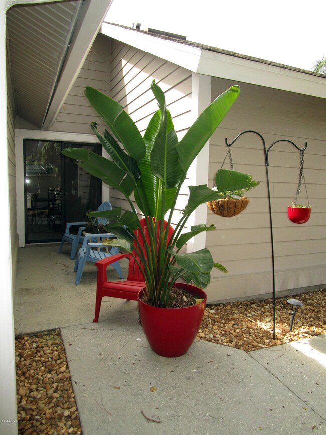 5 Patio
