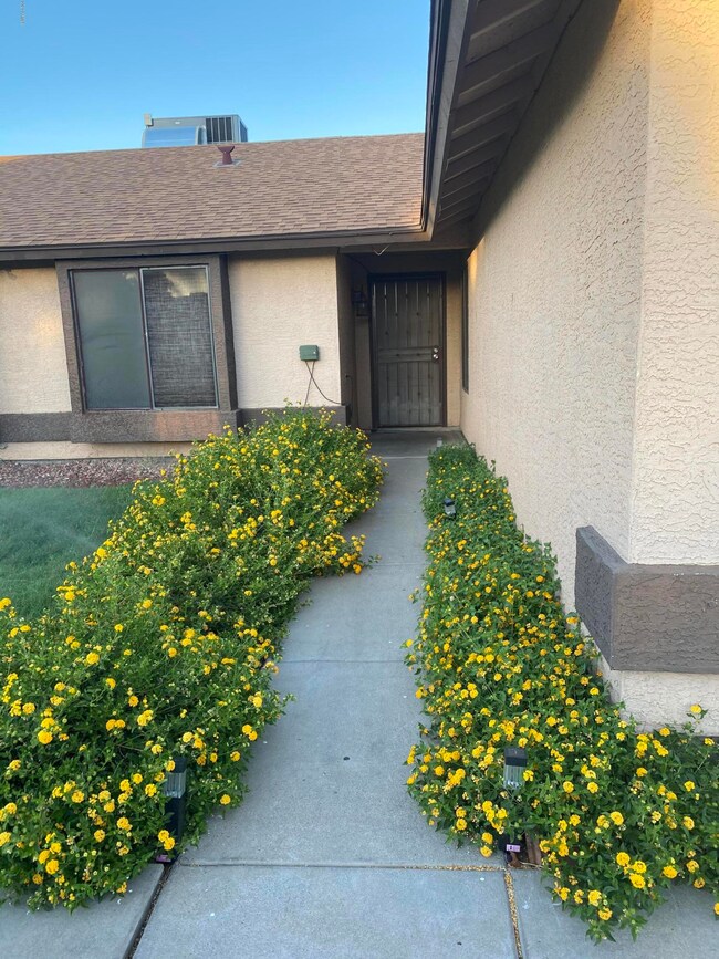 2505 N 90th Dr 22