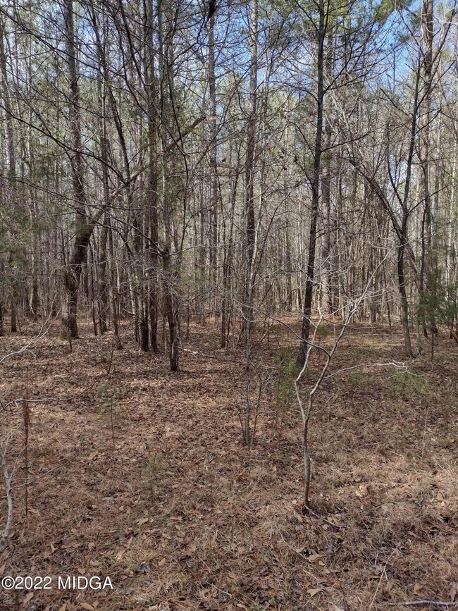 IMG_20220306_152606899_HDR