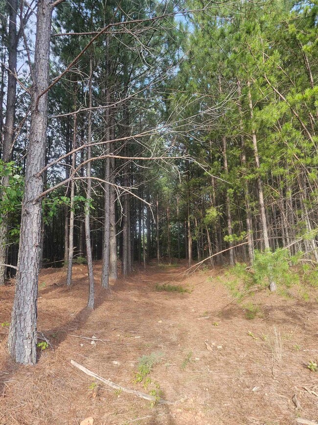 View of landscape