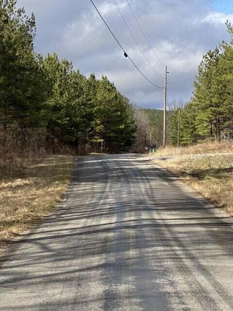 Lot 2 Thomas Springs Rd, Crossville, TN 38572 - photo 6