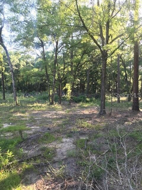 ZONED A-1, BRING YOUR HORSES AND ANIMALS!