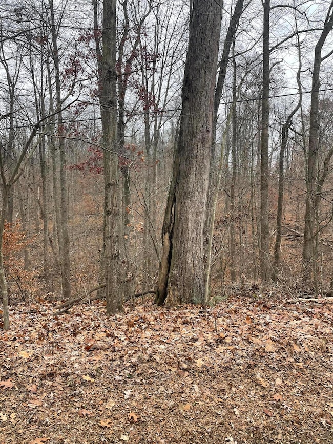 0 McKee Hill Rd unit 225044478, Frazeysburg, OH 43822 - photo 4