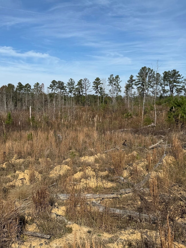 Roebuck Dr, Preston, MS 39354 - photo 2